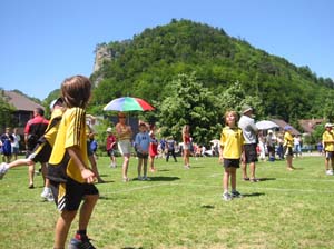 161-6184_IMG